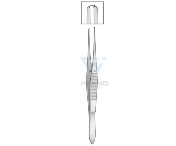 Kuhnt fixation forcep 1x2 curved teeth 11cm