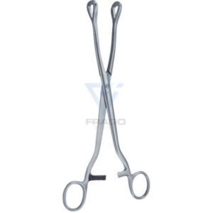 Guly's tongue holding forceps, screw joint 7½" (19cm)