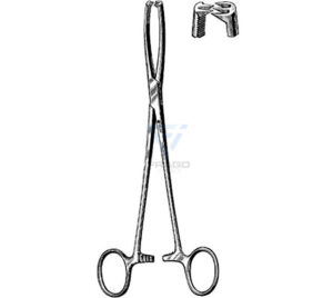 Henrotin Vulsellum Forceps – BENZ Stainless Steel Gynecology Instrument | Frago Impex